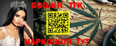МДПВ Татарск