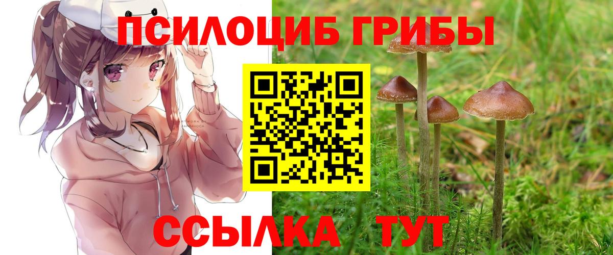 Краснознаменск  Псилоцибиновые грибы GOLDEN TEACHER  Вход с VPN 