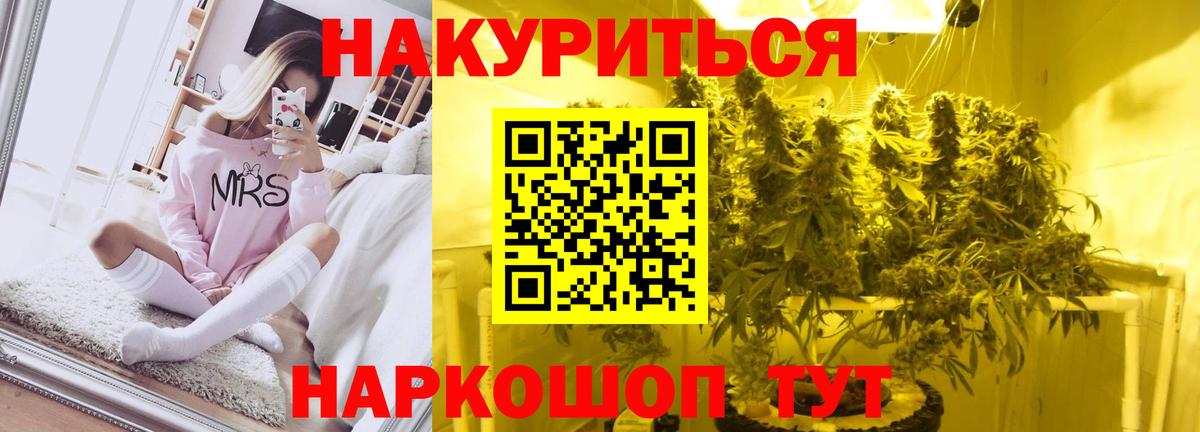 Конопля марихуана Краснознаменск